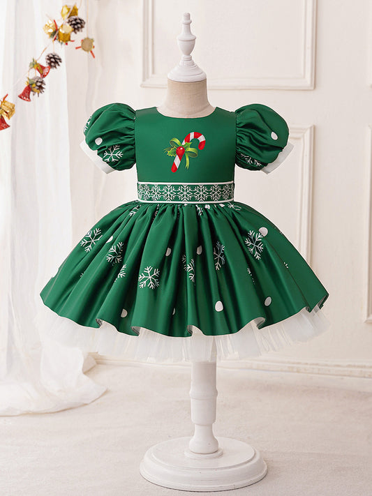 A-Line/Princess Scoop Puff Sleeves Pleated Christmas Dresses for Girls