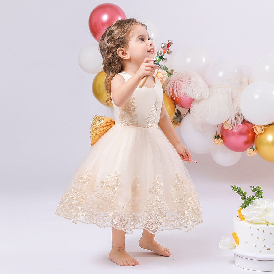 Ball Gown Scoop Sleeveless Lace Flower Girl Dresses