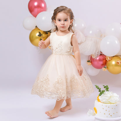 Ball Gown Scoop Sleeveless Lace Flower Girl Dresses