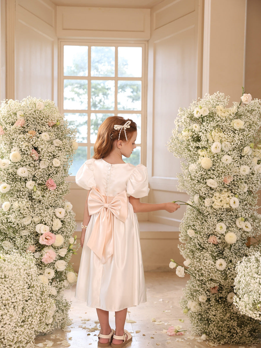 A-Line/Princess V-Neck Puff Sleeves Flower Girl Dresses with Sash