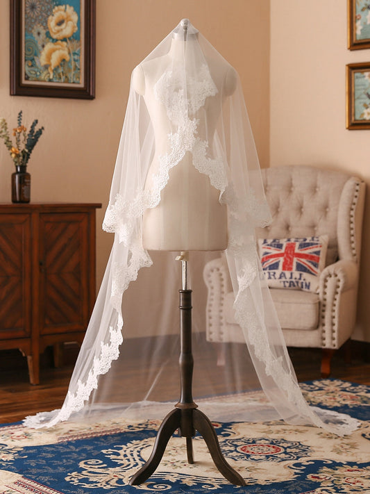 Elegant Tulle One-Tier Chapel Long Bridal Veils With Applique